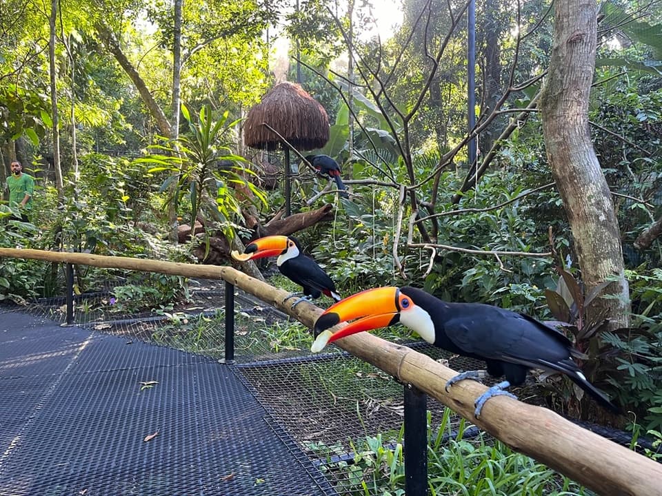 Transfer Parque das Aves — Foz do Iguaçu